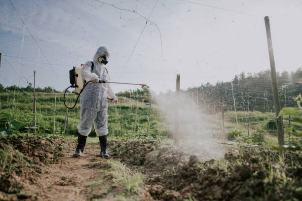 Best Pest Control for Businesses  in Zumbrota, MN