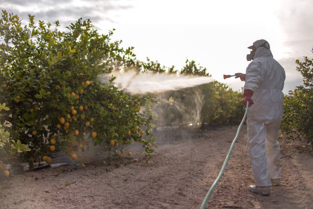 Professional Pest Control in Zumbrota, MN