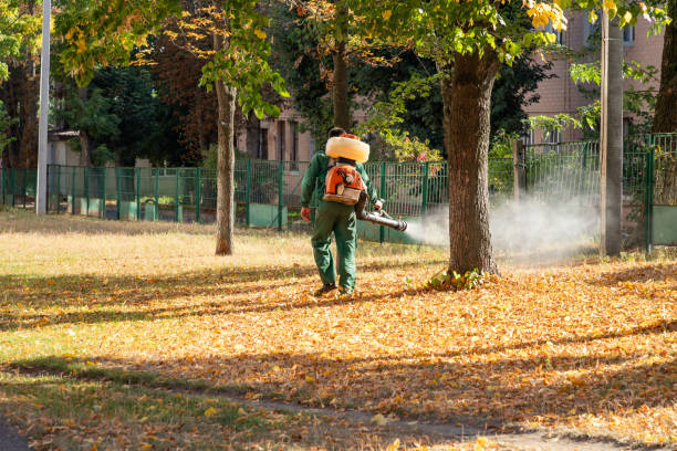 Best Cockroach Control Services  in Zumbrota, MN
