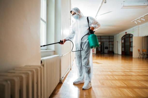 Best Termite Control Services  in Zumbrota, MN